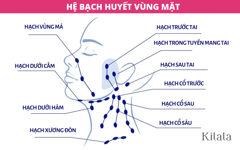 mát xa trẻ hóa tanaka mát xa trẻ hóa tanaka